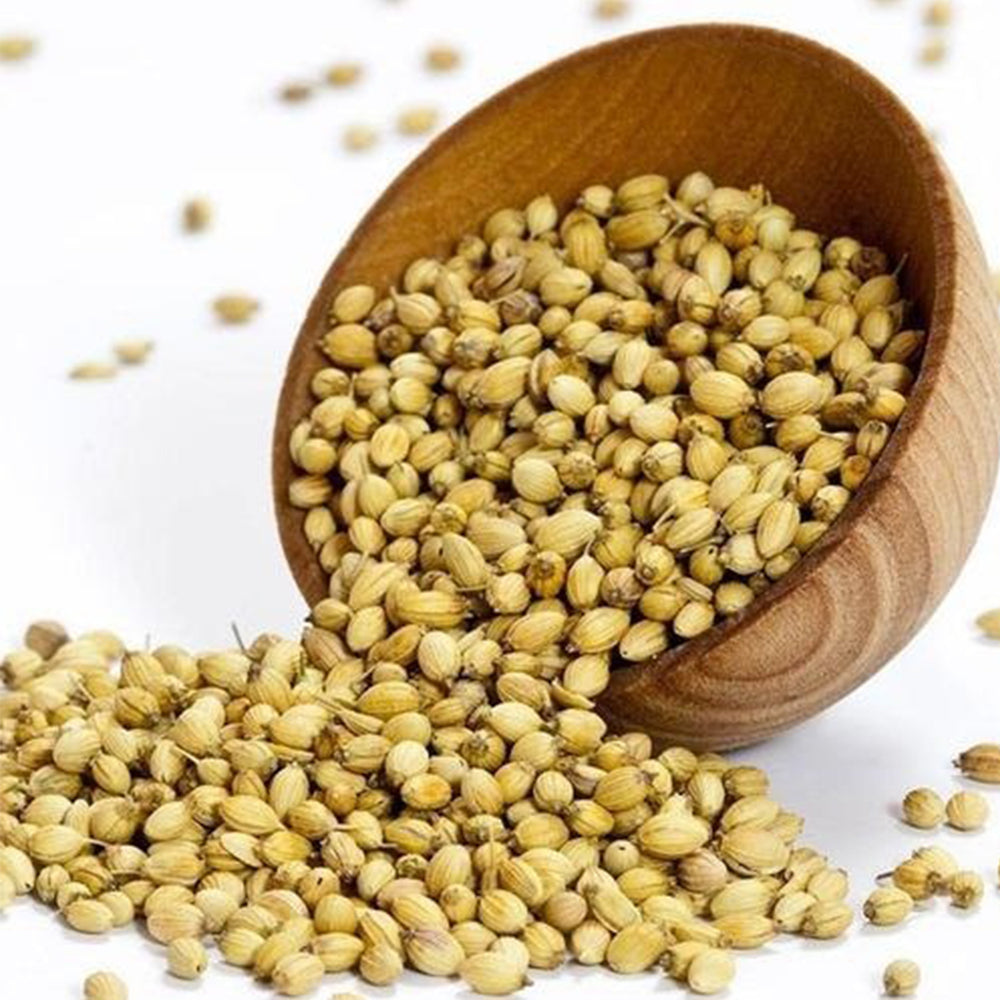 Coriander seeds (Dhana)